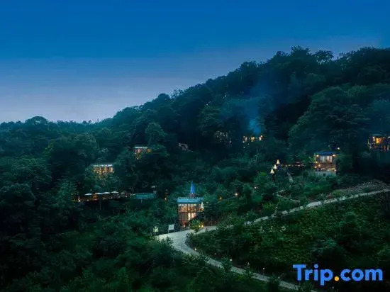 Misty Forest Retreat