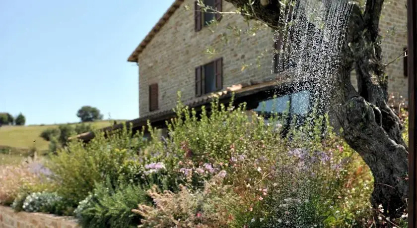 Il Picchio Verde
