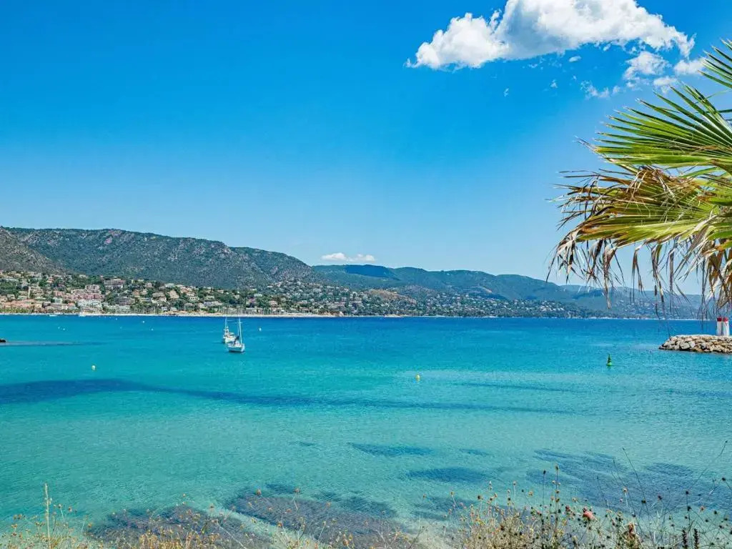 Appartement Le Lavandou, 3 pièces, 6 personnes - FR-1-610-69