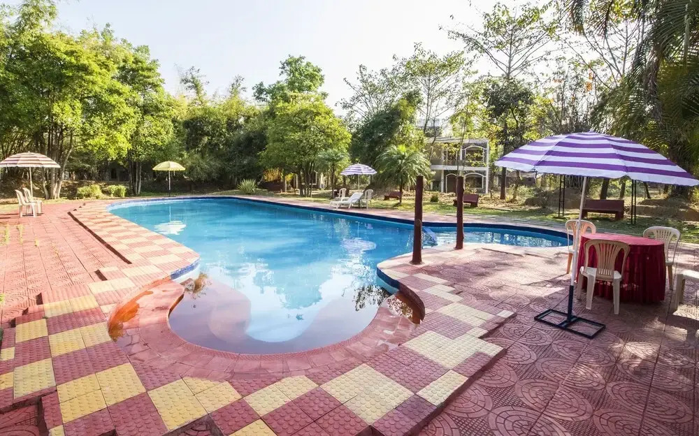 Jungle King Resort