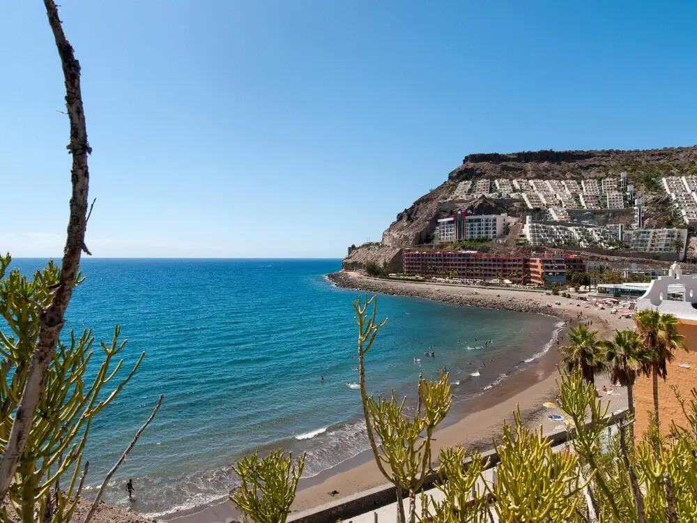 Beach Apartment Playa del Cura 47