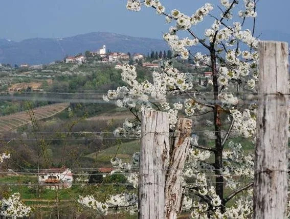 Agriturismo Domus Rustica