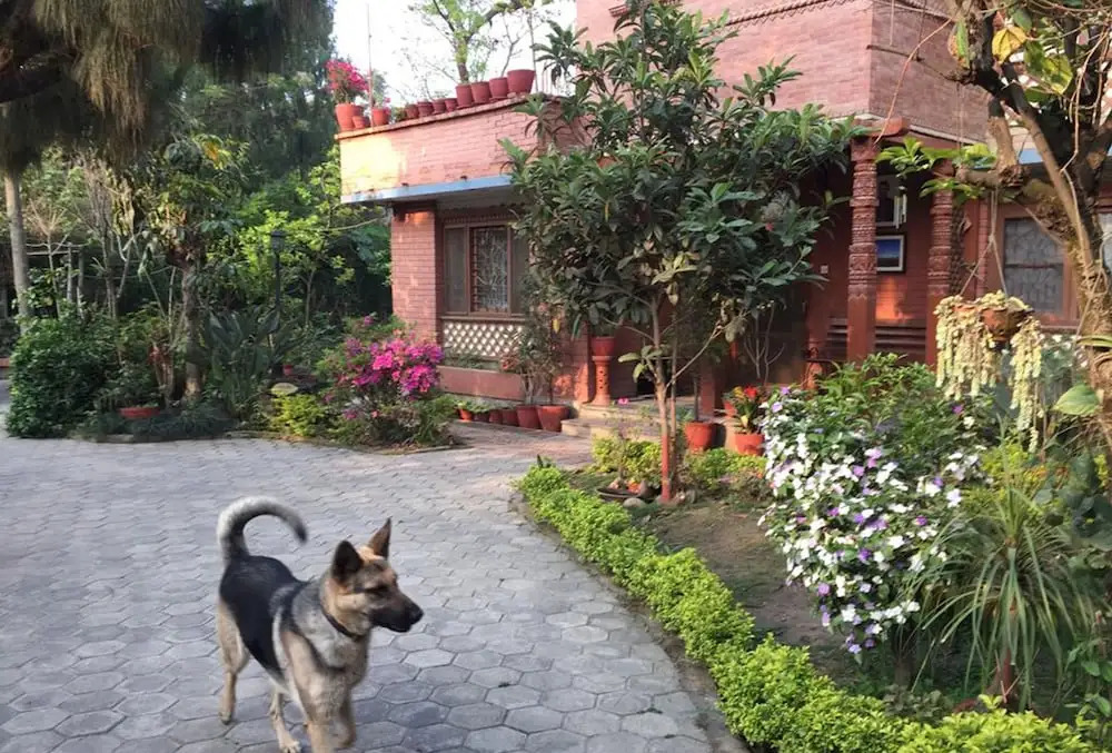Pramis Homestay