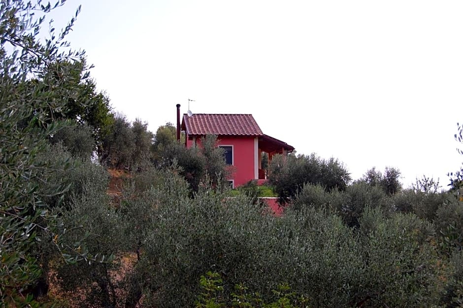 Il Pino
