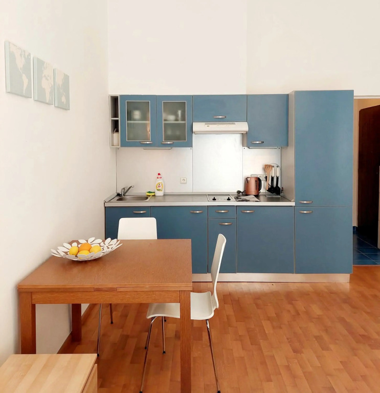 Cozy studio in Vinohrady