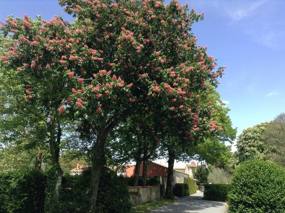 La Grange dAunis