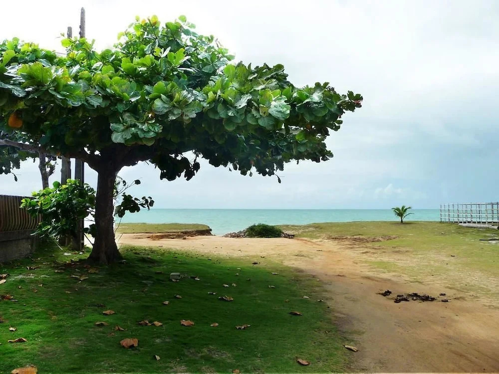Quintal da Praia