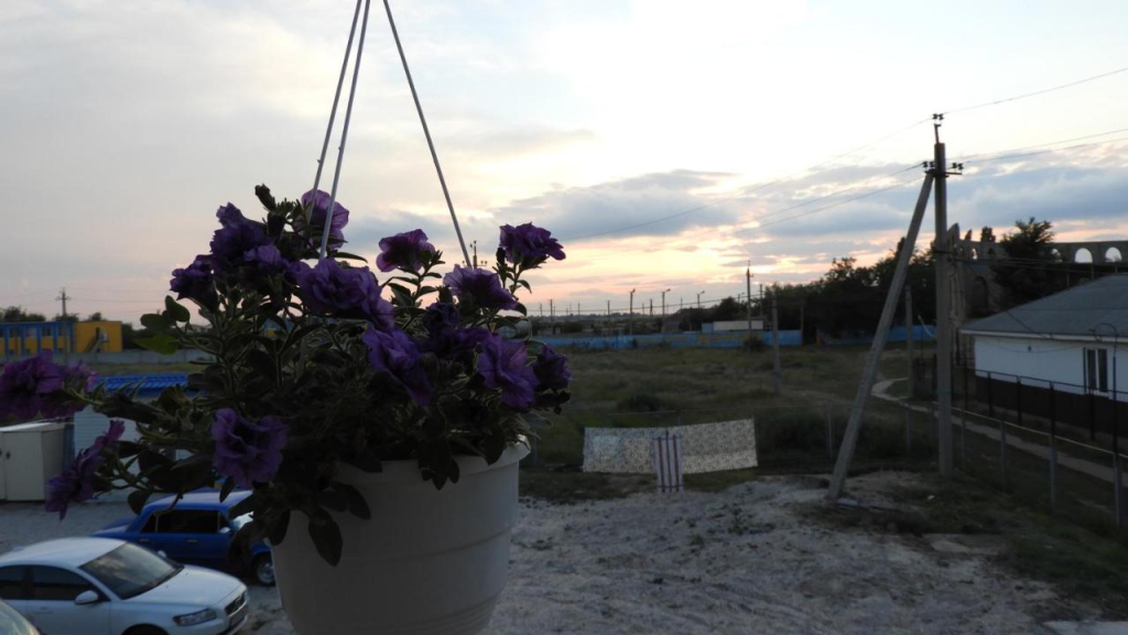 Hotel Zdorovie