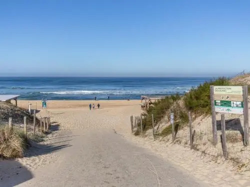 Studio en Duplex sous la Pinède et Proche de la Plage - FR-1-239-394