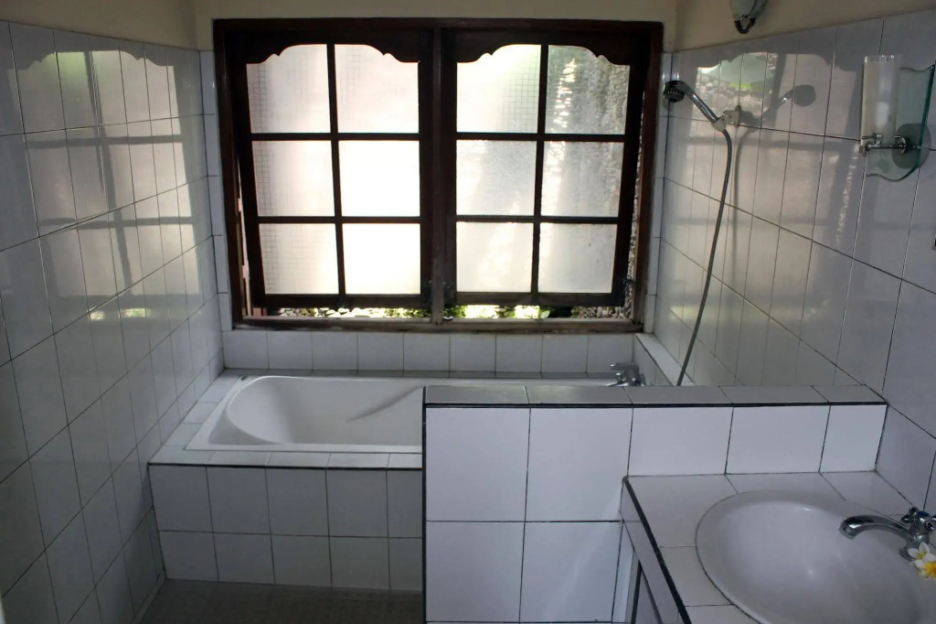 Отель Swan Inn
