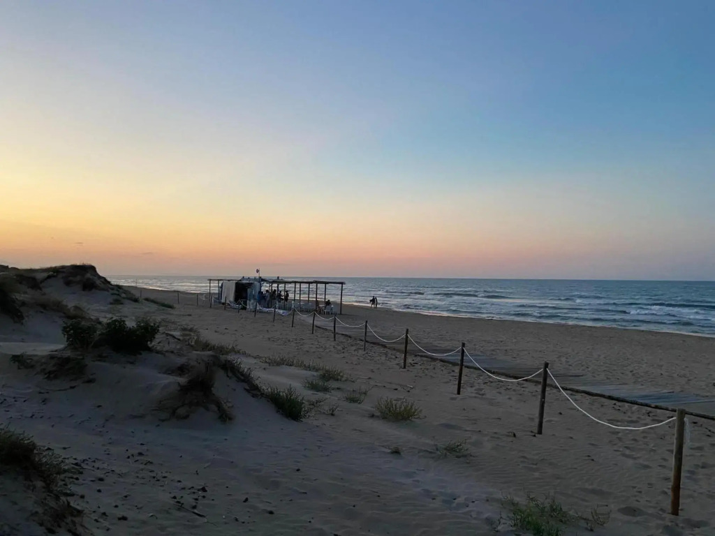 Chalet a estrenar - Playa Oliva Nova. Piscina & Padel