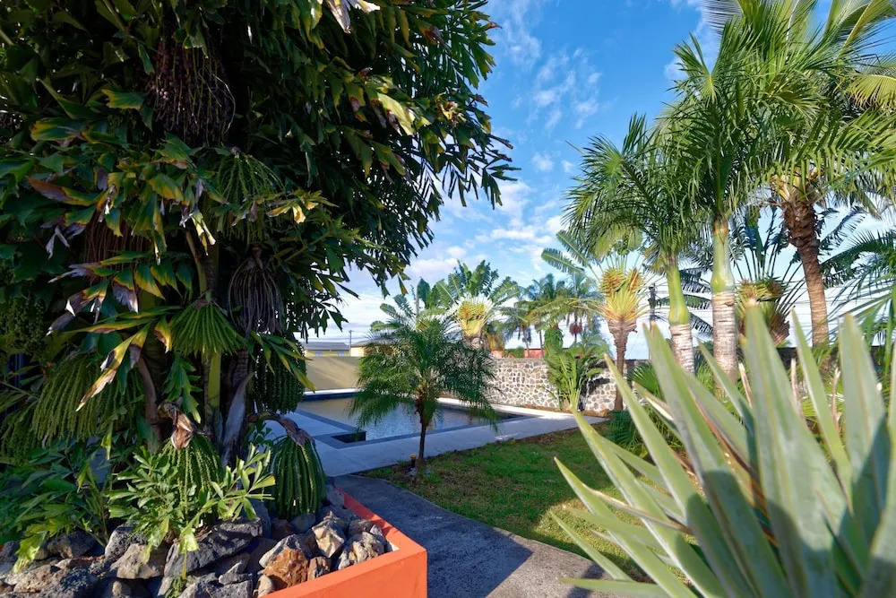 Villa Des Palmes