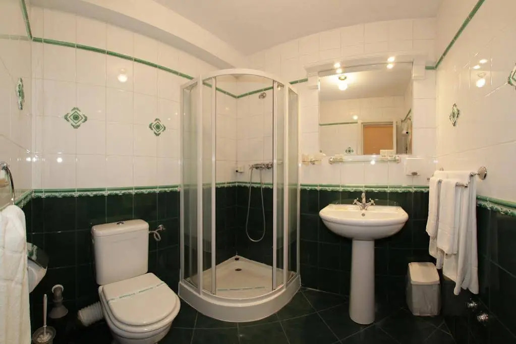 Hotel Vila Central Boutique Satu Mare