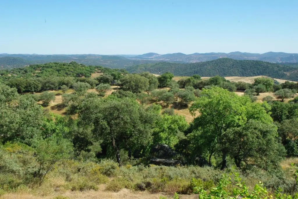 Casa Rural La Era 3