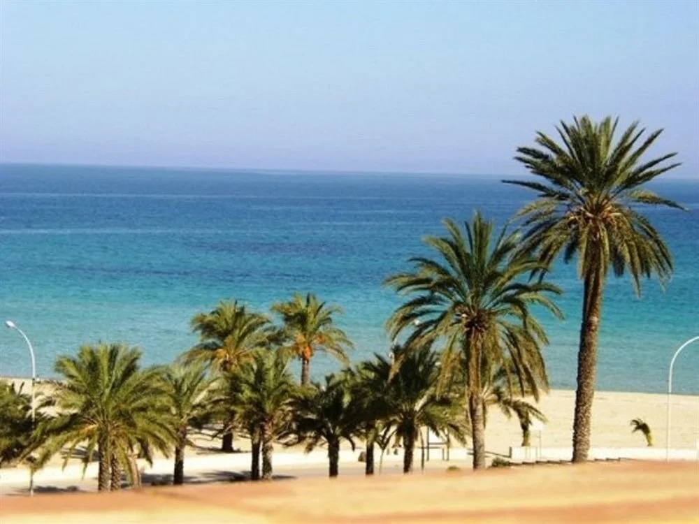 Mediterranea Domus