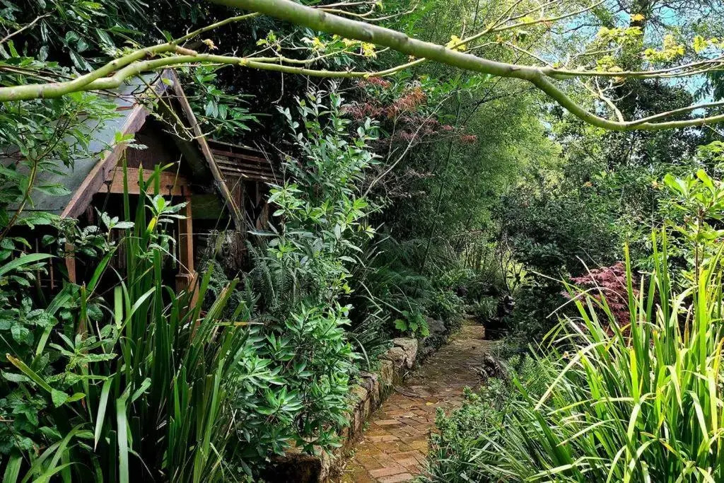 The Black Cockatoo - Secret Garden Treetops Home