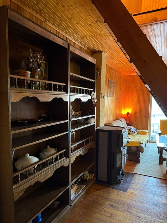 Mavrovo Lake View Chalet
