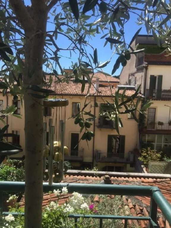 Alexander House Verona