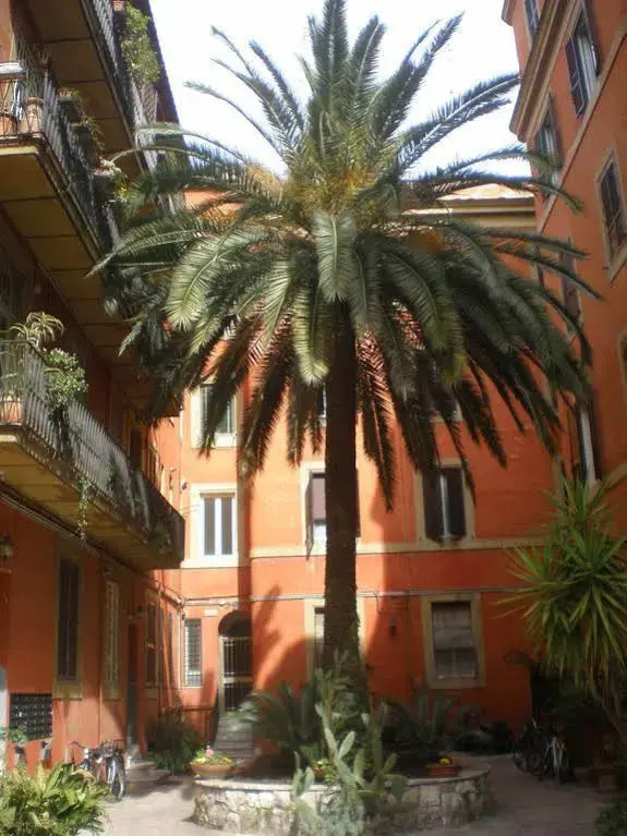 Residenza Musei Vaticani