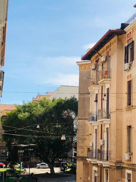 Montello Guest House & Apartment
