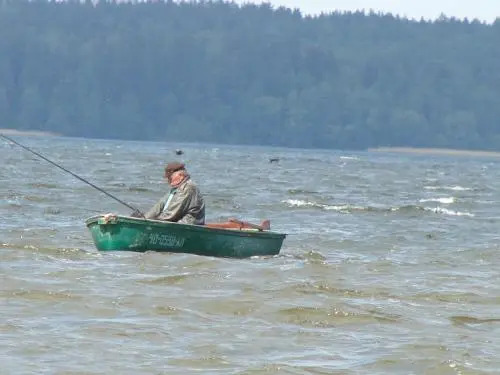 Panterej Pokoje Gościnne