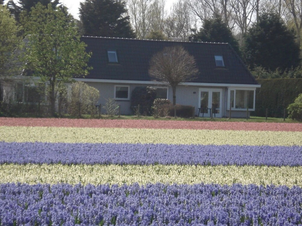 Beautiful Holiday Home With a Terrace at 1,5 km From the sea