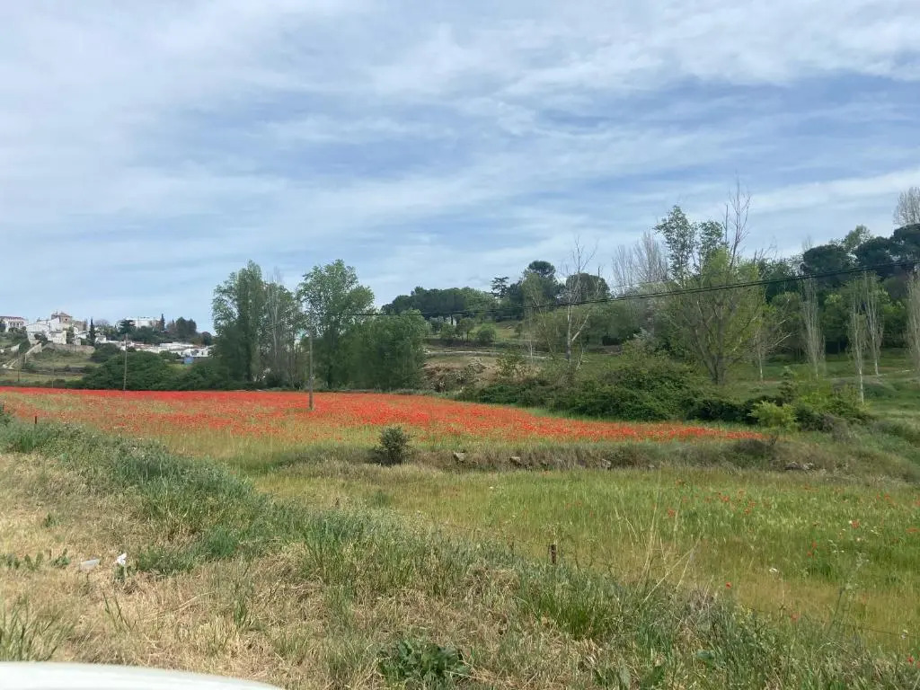 Apartamento Rural Casa Monte