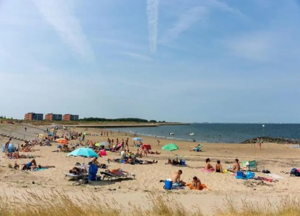 leisure retrete with costal nature