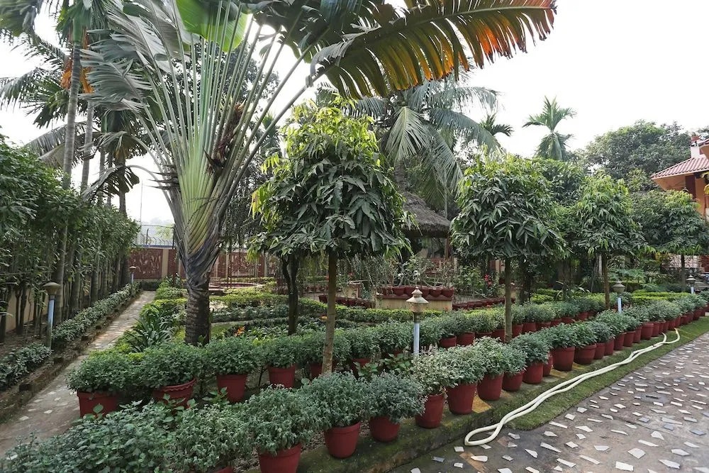 Rater Tara Diner Rabi Resort