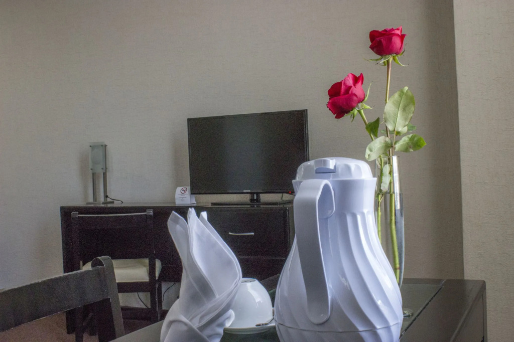 Hotel Vista Inn Premium
