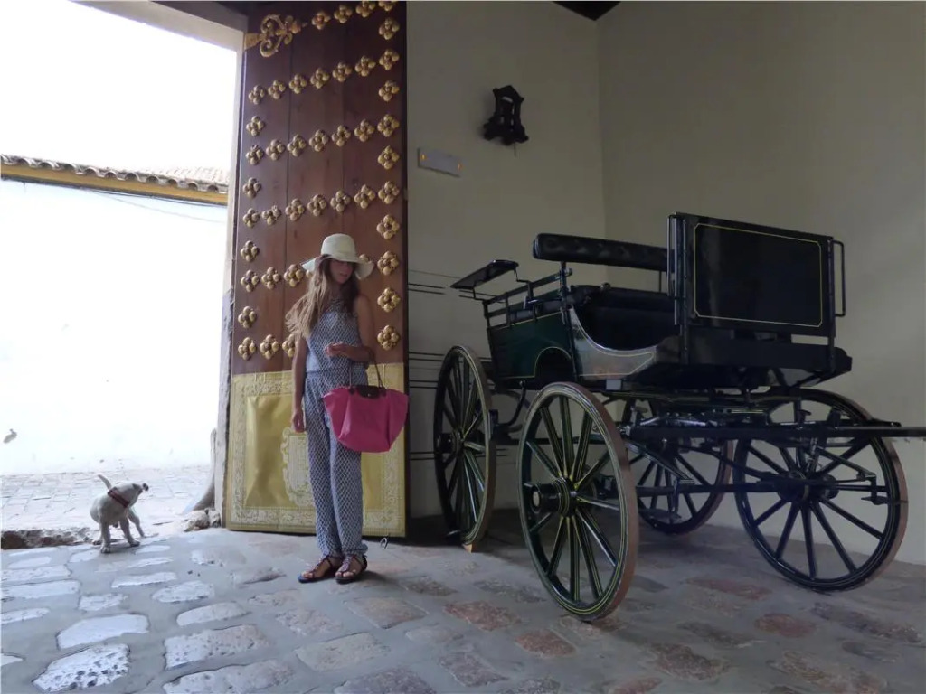 Las Casas de la Judería de Córdoba