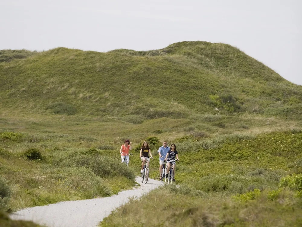 Well Kept Apartment with Whirlpool near Sea on Texel