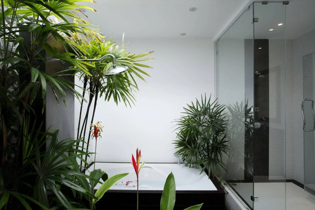 Villas Aelita Phuket