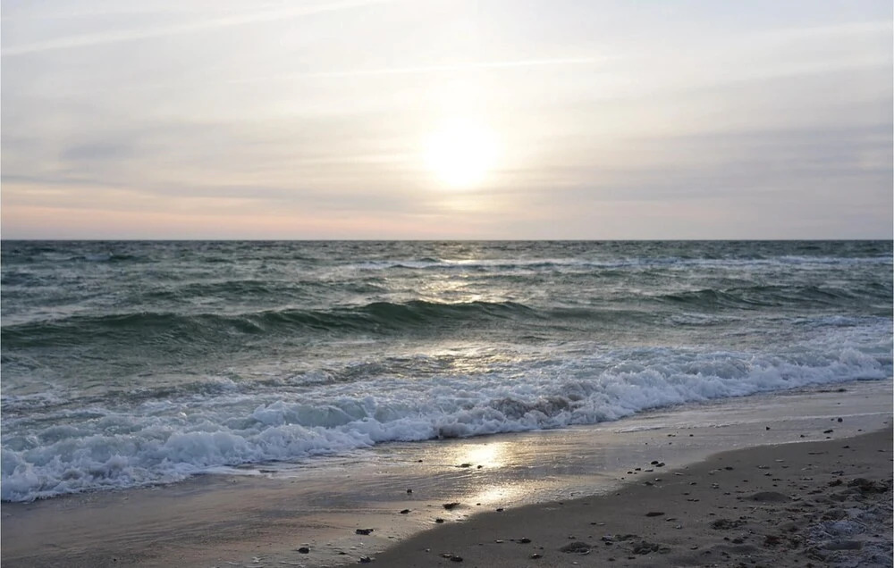 Amazing Apartment in Kappeln With 1 Bedrooms and Wifi