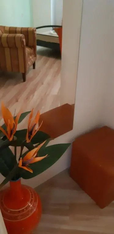 Apartments Olivia