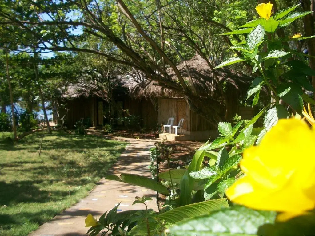 Toris Backpackers Paradise