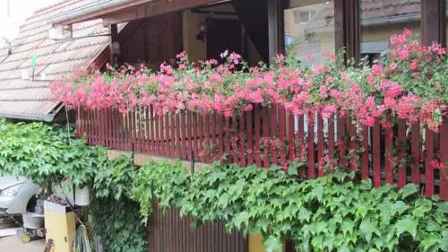 Gîte du Vignoble