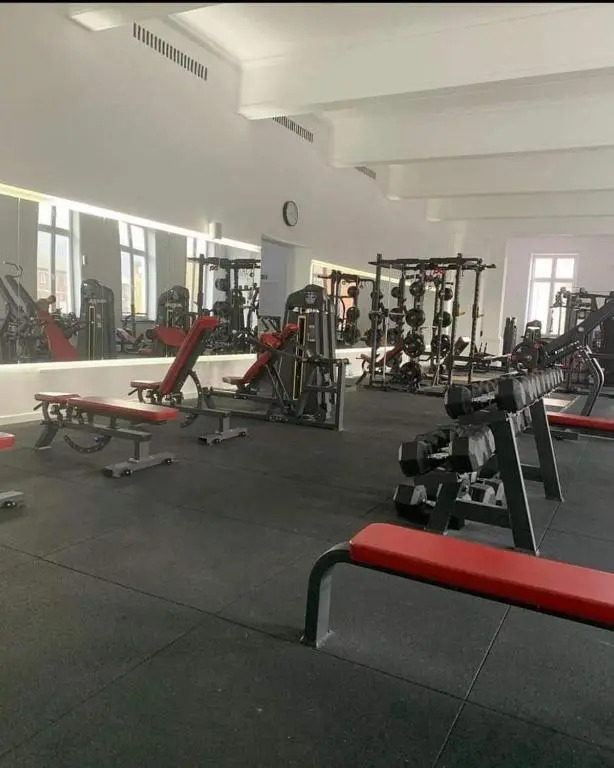 Apartament Straja