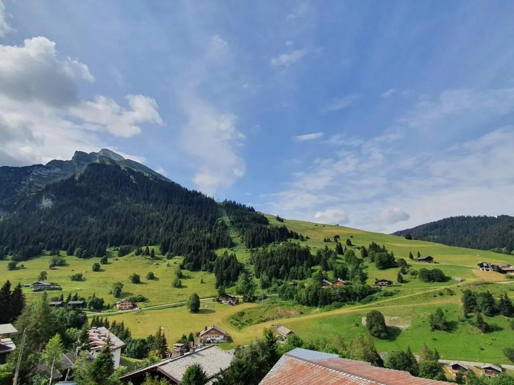 Appartement La Clusaz, 1 pièce, 6 personnes - FR-1-459-169