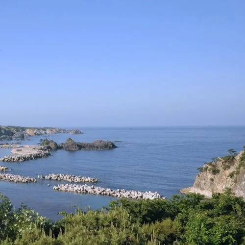 Senkakuso