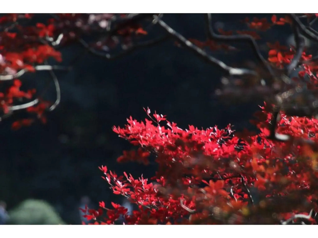 Tora Hotel Rikugien - Vacation STAY 52744v