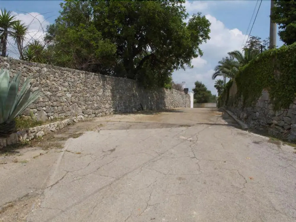 Tenuta Terenzano