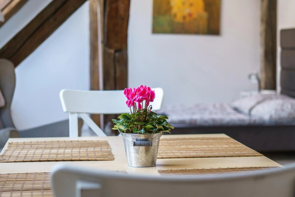 Vienna Living Apartments - Berggasse