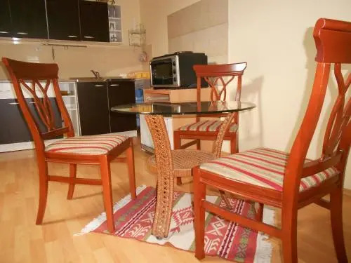Fis Centar Apartment