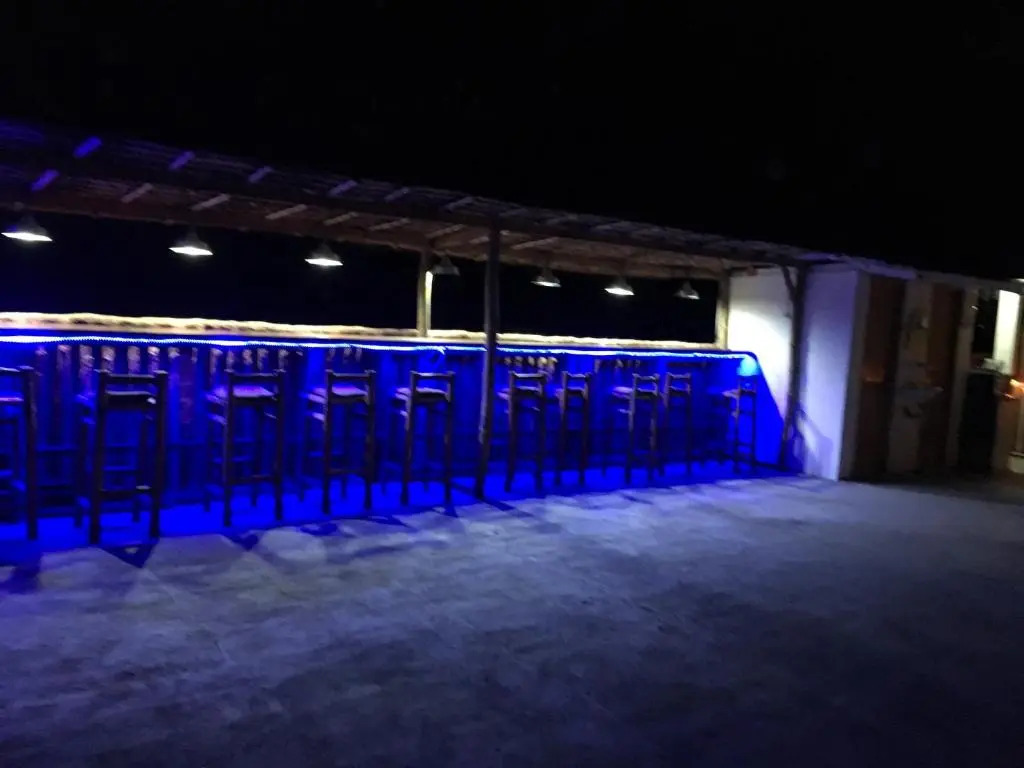 Hostel Lions