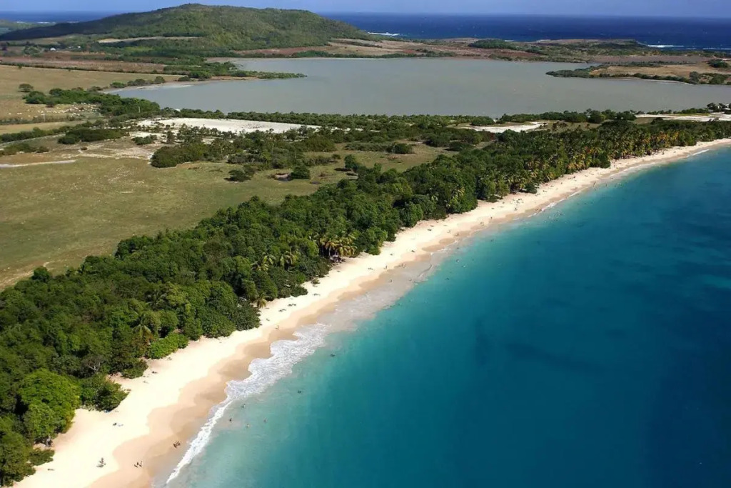Holidays in Martinique - Ravenala