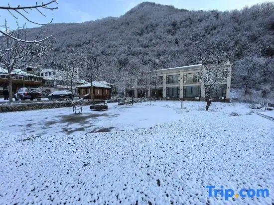 Walnut Tree Soup Spring Homestay
