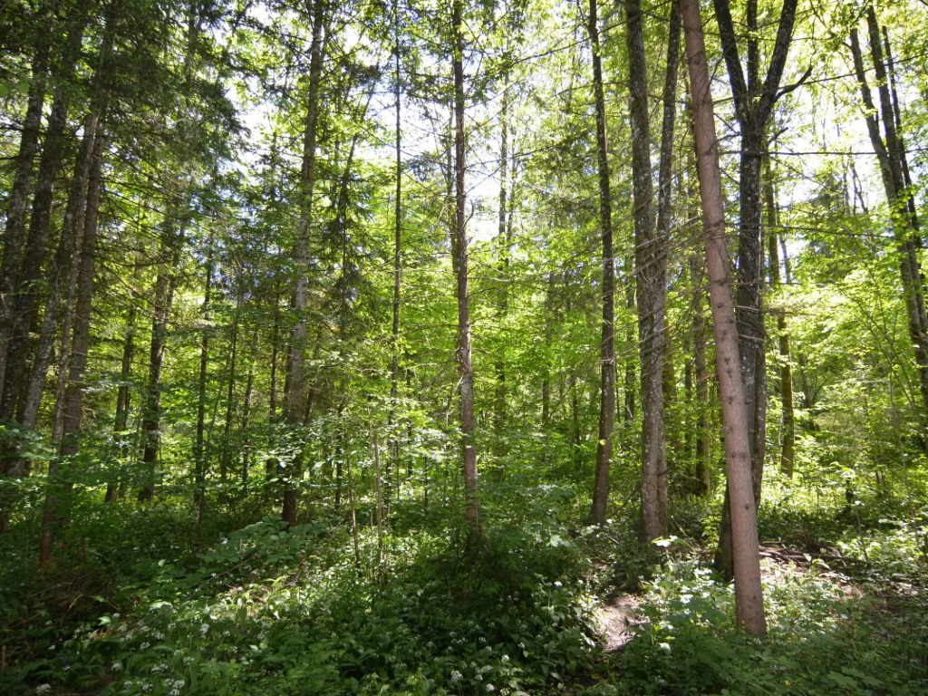 Komfort in Schonau am Konigssee