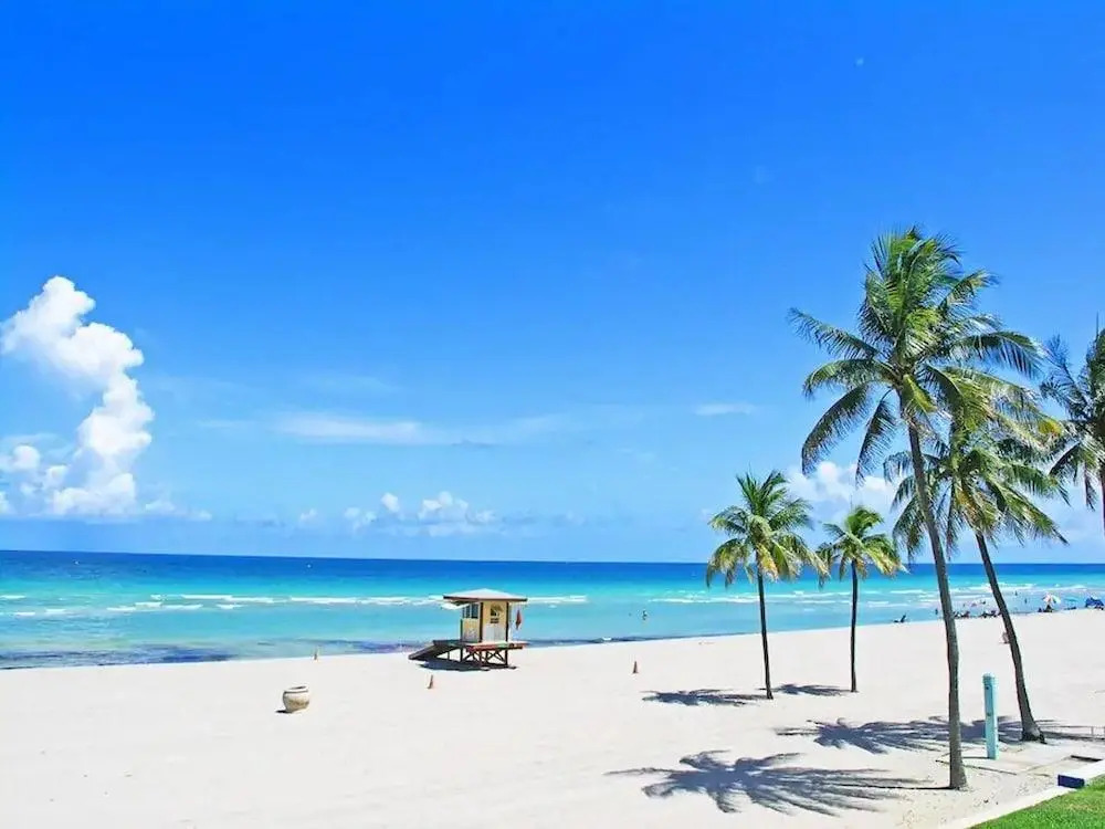 Amazing Apartment,hallandale Beach, Walk to Ocean!