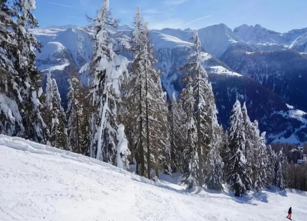 Family Stay in Aletsch Alps